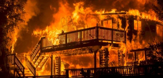 7564534 1 - CJ العربية