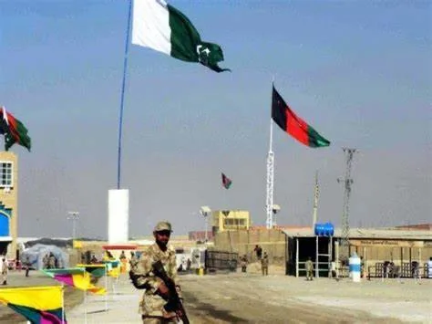 778OIP - CJ العربية