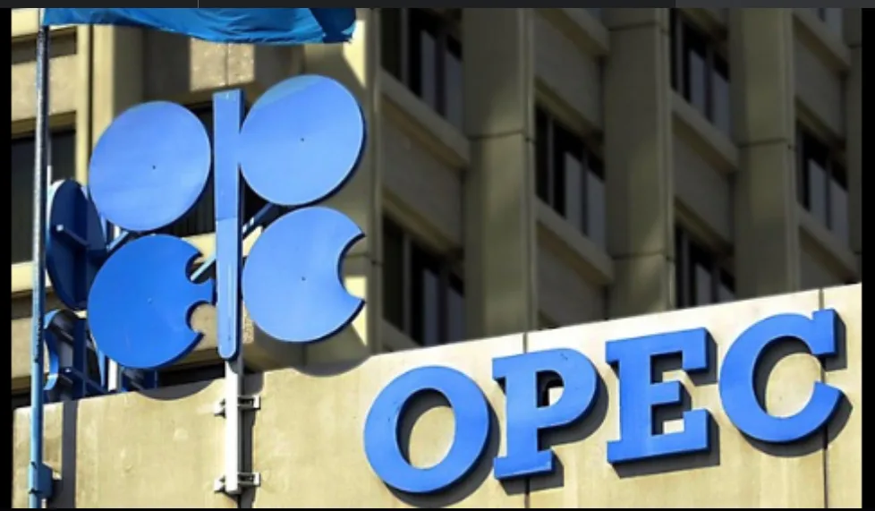 IMG 5582 - CJ العربية