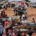 الأمثال الشعبية في مصر … قل تداولها فهل شارفت على الإندثار ؟