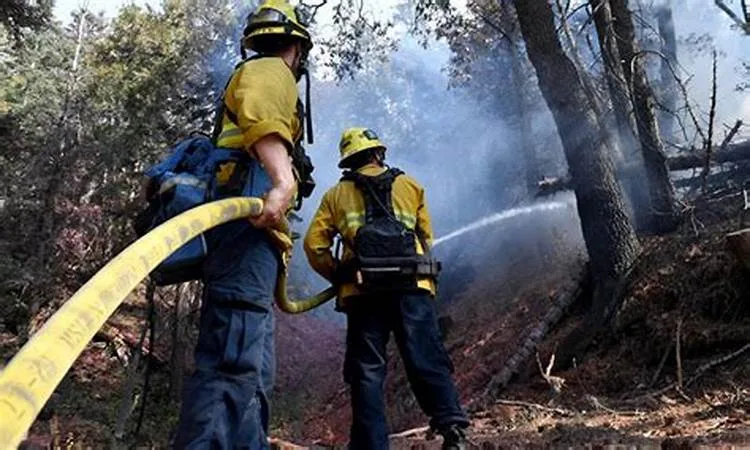 OIP568 3 - CJ العربية