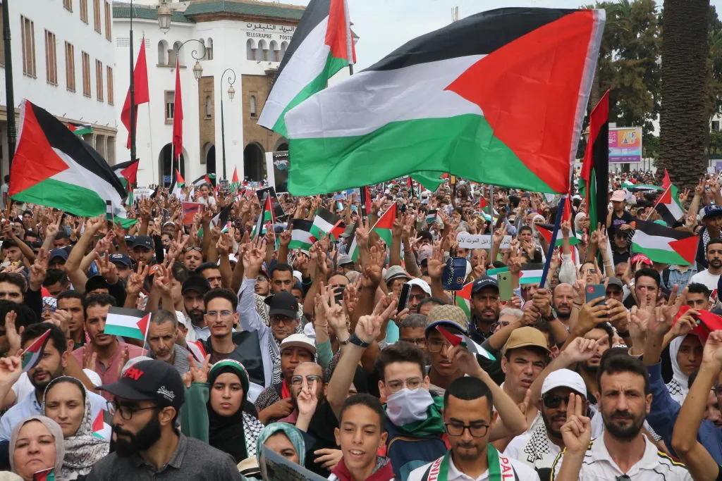 s 1726688034 - CJ العربية