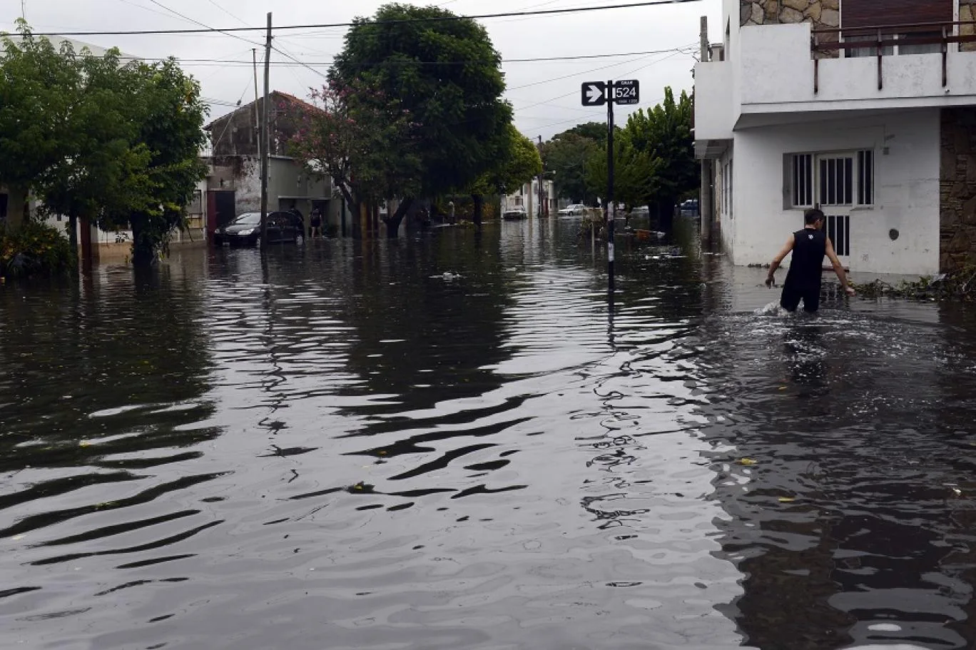 899546 1108260301 - CJ العربية