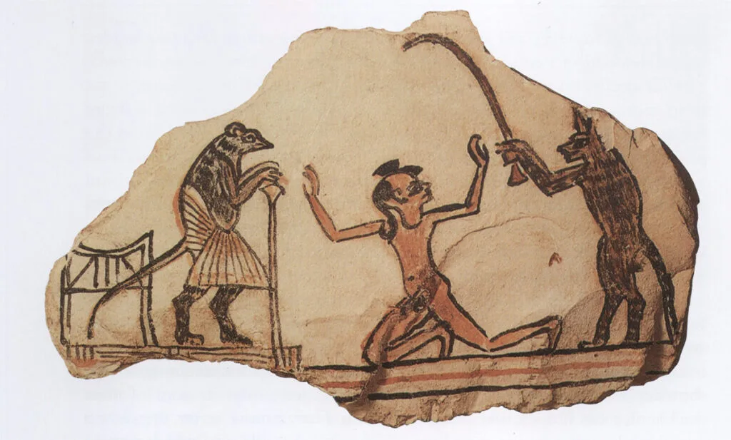 c85d9915 2614 484b bca2 78d48f00541e - CJ العربية