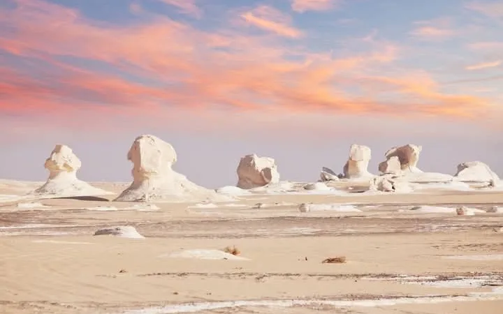 هل تشكل أبو الهول عن طريق نحت او تآكل الصخور ؟ 5 - CJ العربية f54e1b42 7a3a 40af 9e91 6cfbaba0967e - CJ العربية