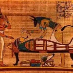 المدينة الاسلامية بقلم د. ولاءمحمد