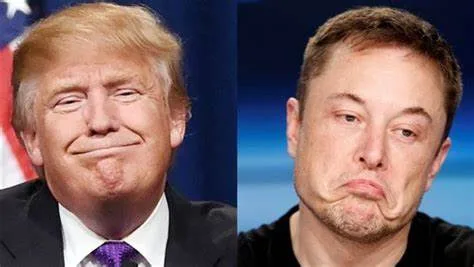 ترامب ايلون - CJ العربية