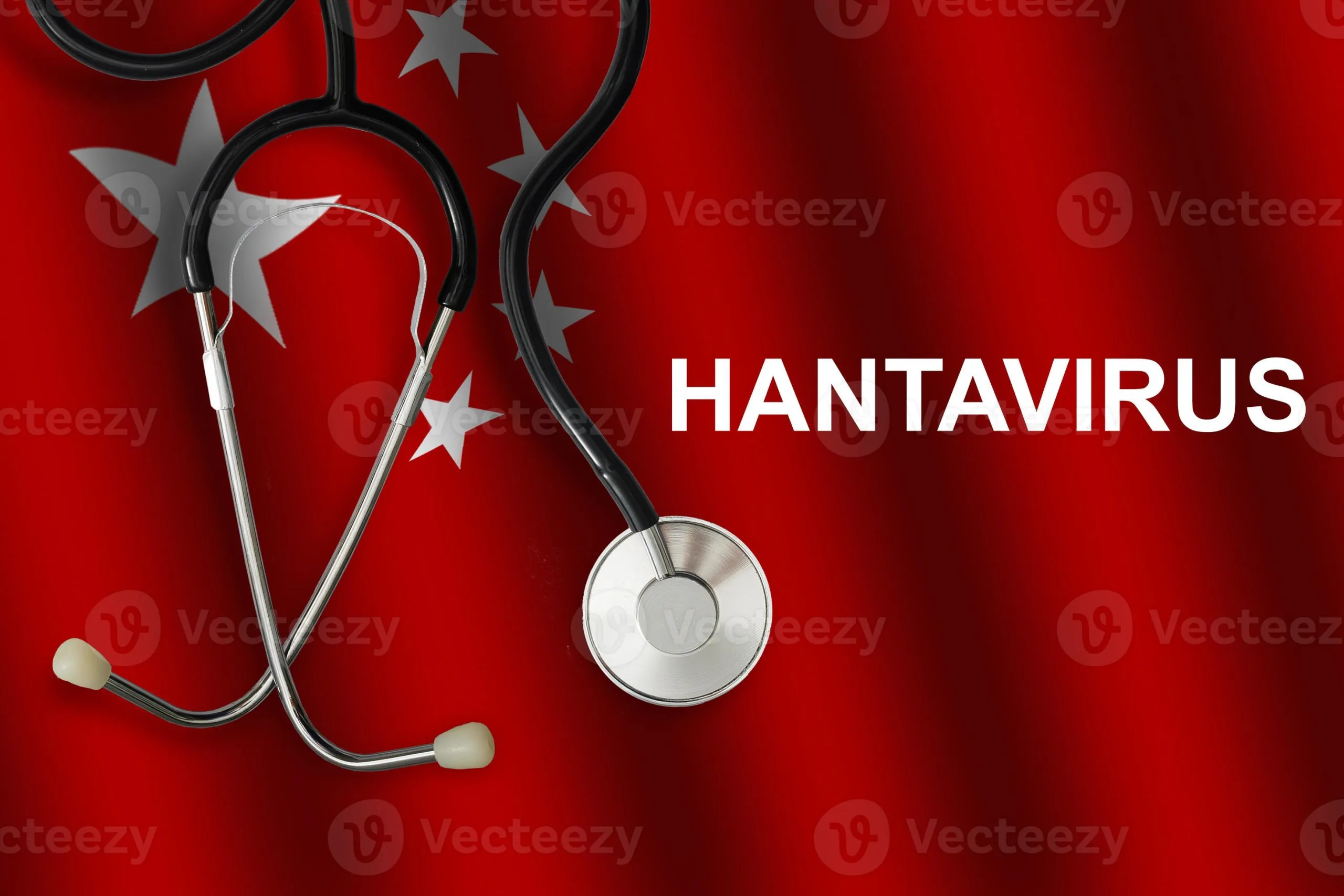 فيروس هانتا scaled - CJ العربية