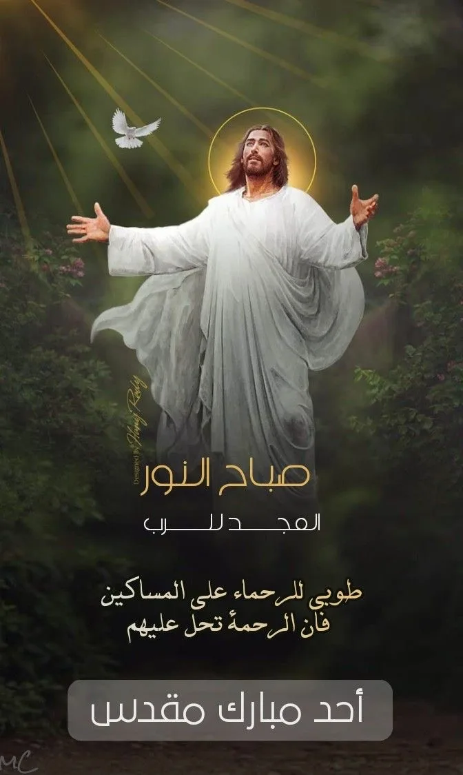 IMG 6979 - CJ العربية