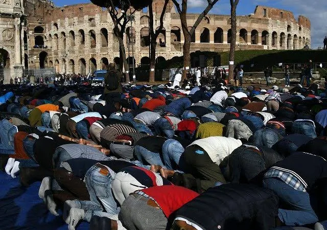 IMG 8618 - CJ العربية