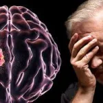 مصر تُحبط مخططًا إرهابيًا كبيرًا مرتبطًا بجماعة الإخوان المسلمين يستهدف منشآت رئيسية