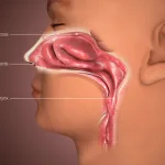 بدء تنفيذ اتفاقية السلام بين جمهورية الكونغو الديمقراطية ورواندا