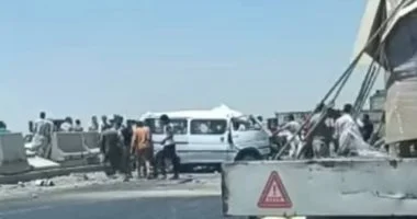 IMG 9361 - CJ العربية