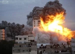 IMG 9528 - CJ العربية