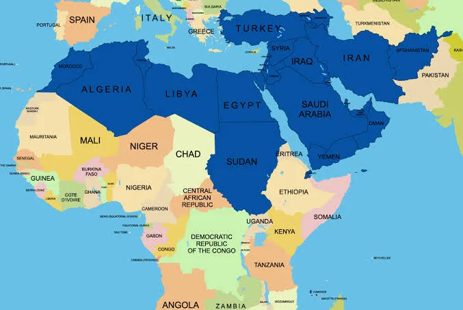 IMG 9654 - CJ العربية