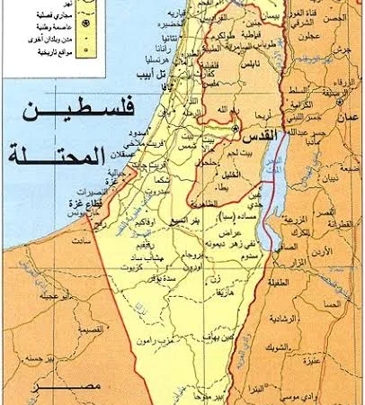 IMG 0013 - CJ العربية