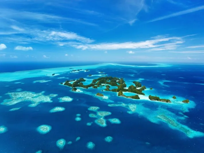 IMG 0019 - CJ العربية