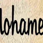 فك شفرة الخلق: العلماء يعالجون خطوة حاسمة في أبحاث أصل الحياة