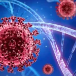 صندوق النقد الدولي : الاقتصاد المصري يتقدم و يسير بخطى حذرة في مساره