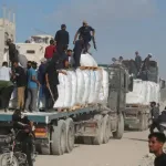 “الماء الذي لا يُهزم:فلسفة المفكرة عبير المعداوي و حكمة إيب مان