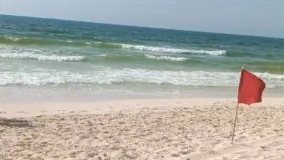 IMG 0582 - CJ العربية