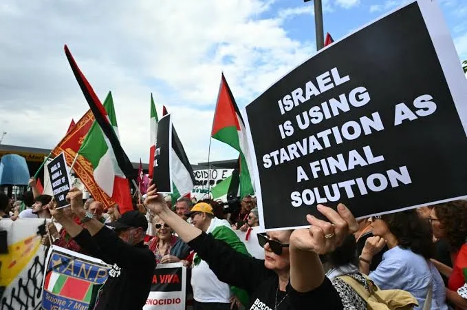 IMG 0701 1 - CJ العربية