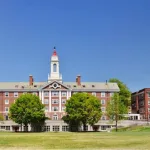 من عدو إلى حليف: أفعى النفاخ تتحول إلى بطل زراعي في أفريقيا