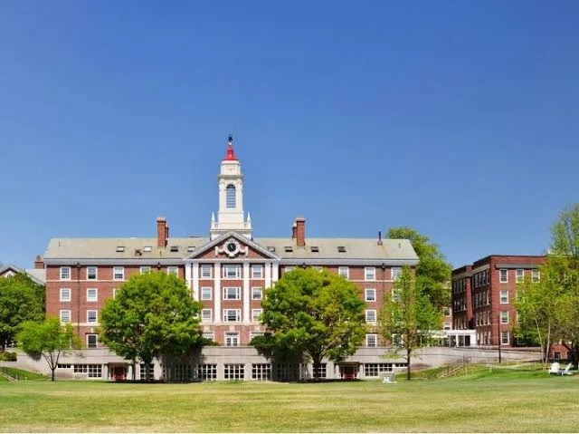 IMG 0991 - CJ العربية