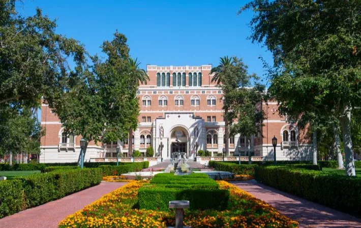 IMG 1036 - CJ العربية