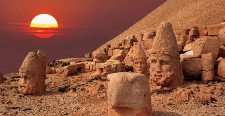 IMG 1048 - CJ العربية