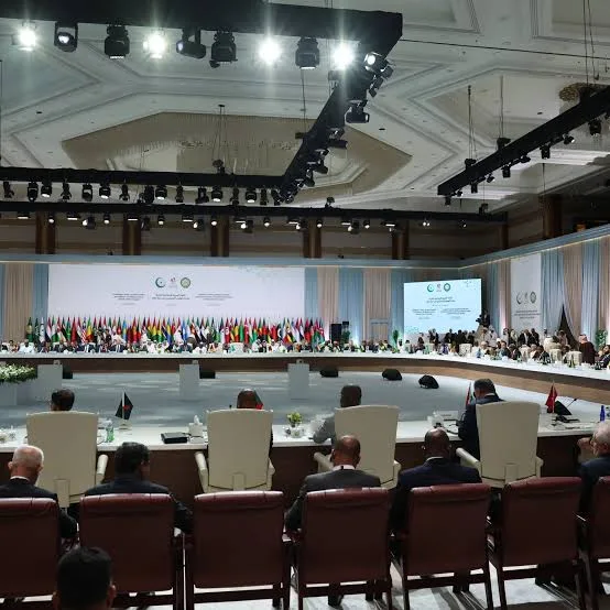 IMG 1093 - CJ العربية