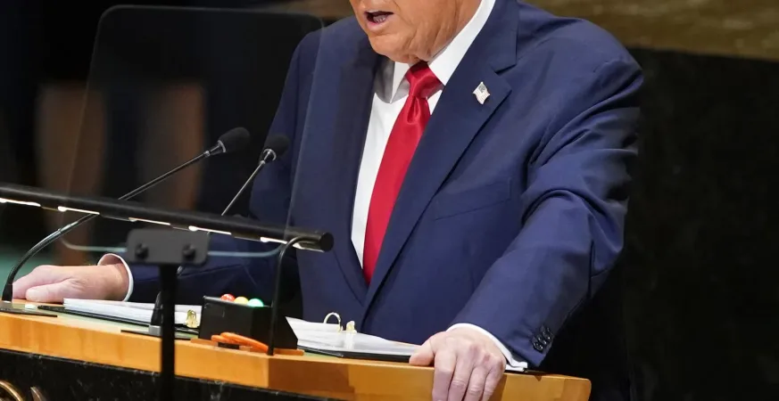 IMG 1318 - CJ العربية