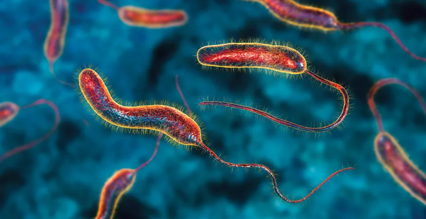 IMG 1498 - CJ العربية