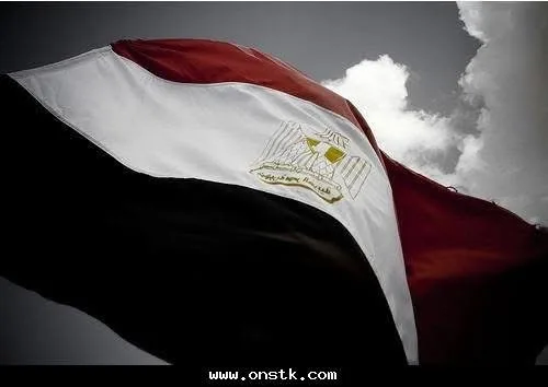 IMG 1615 - CJ العربية