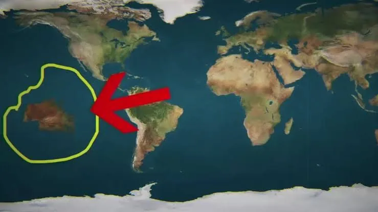 IMG 3772 - CJ العربية