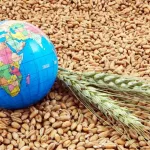 المصارف المركزية العربية تبحث الأطر التنظيمية للعملات الرقمية واستخدام الذكاء الاصطناعي في الرقابة المالية