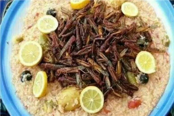 IMG 5680 - كاسل جورنال العربية